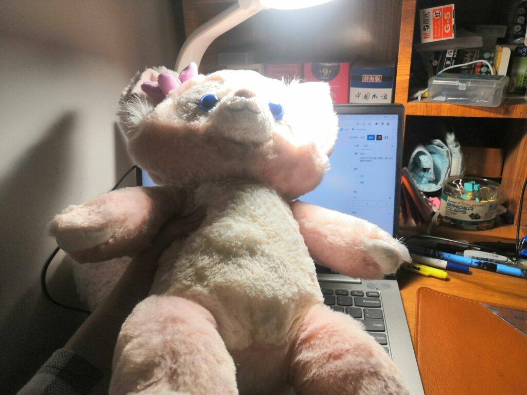 玲娜贝儿S贝与笔记本电脑的大小对比